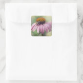 Wilde bloem - Paarse Conefloer / Echinacea Vierkante Sticker (Tas)