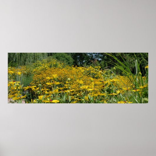 Wilde bloem Panoramiek Poster (Voorkant)