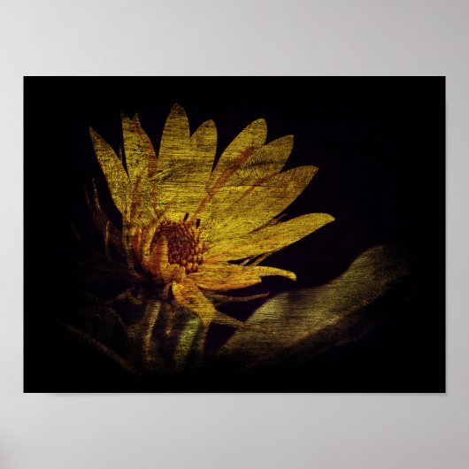 Wilde bloem poster (Voorkant)