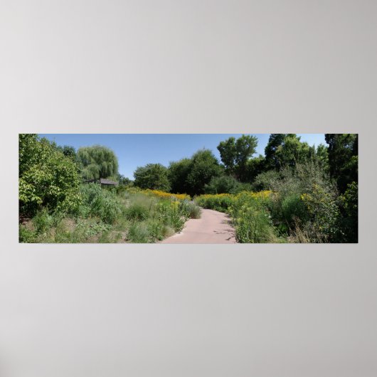 Wilde bloem poster (Voorkant)