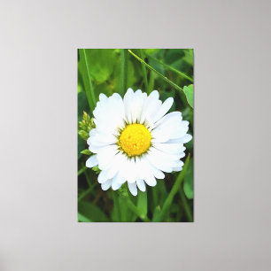 Wilde Bloem Roemenië – Botanische Macro Fotografie Canvas Afdruk