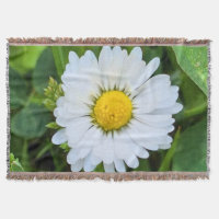 Wilde Bloem Roemenië – Botanische Macro Fotografie