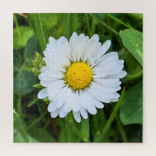 Wilde Bloem Roemenië – Botanische Macro Fotografie Legpuzzel