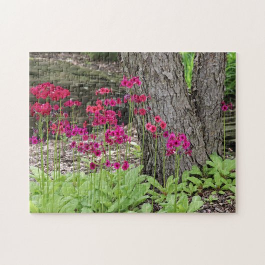 Wilde bloem Roze Primrose Foto Legpuzzel (Horizontaal)