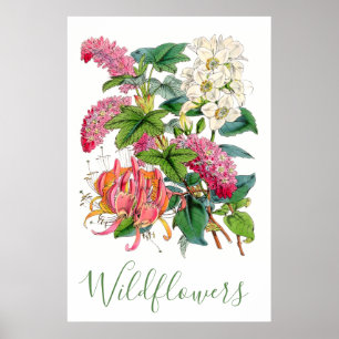 wilde bloemen, bijtende katoenhoudende bloemen poster