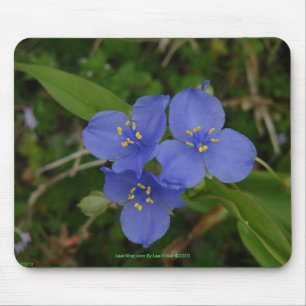 Wilde bloemen Blauwe Spiderwort Hot Springs AR Gif Muismat