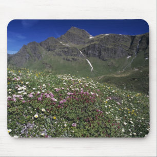 Wilde bloemen, bloeiend, Alpen, Zwitserland Muismat