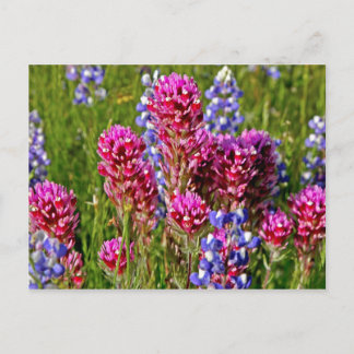 Wilde bloemen briefkaart