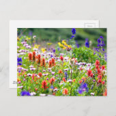 Wilde bloemen briefkaart (Voorkant / Achterkant)