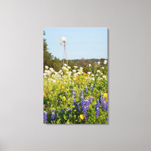 Wilde bloemen en windmolen in Texas Hill Country Canvas Afdruk