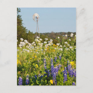 Wilde bloemen en windmolens in Texas Hill Country Briefkaart