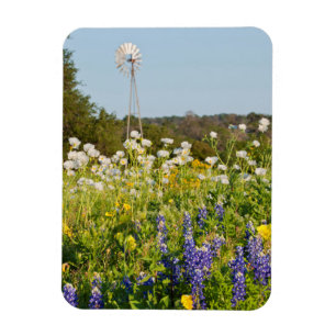 Wilde bloemen en windmolens in Texas Hill Country Magneet