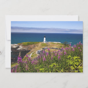 Wilde bloemen en Yaquina