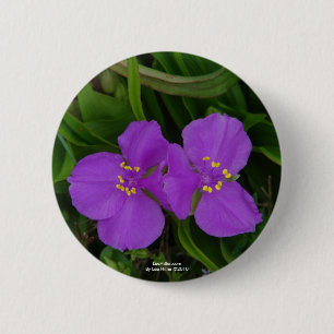 Wilde bloemen Fuchsia Spiderwort Hot Springs Gifts Ronde Button 5,7 Cm