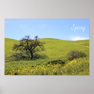Wilde bloemen Hillside Photo Oak Natuur Schilderac Poster