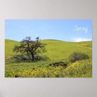 Wilde bloemen Hillside Photo Oak Natuur Schilderac Poster