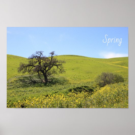 Wilde bloemen Hillside Photo Oak Natuur Schilderac Poster (Voorkant)