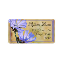 Wilde bloemen in de ochtend