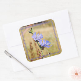 Wilde bloemen in de ochtend vierkante sticker