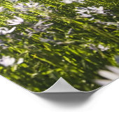 Wilde bloemen in het veld poster (Hoek)