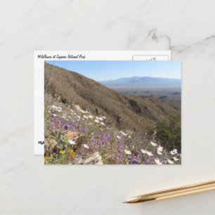 Wilde bloemen in Saguaro National Park I Briefkaart