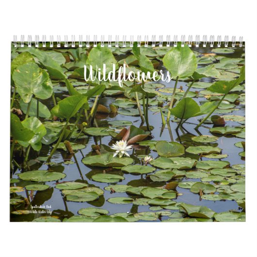 Wilde bloemen kalender (Hoes)