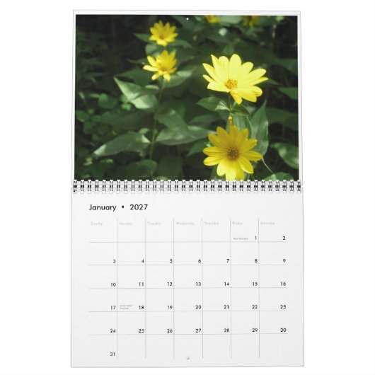 Wilde bloemen kalender (Jan 2027)
