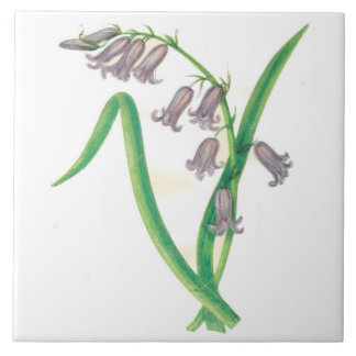 Wilde bloemen - Keukenkeramische tapijtschelp Tegeltje