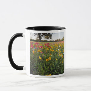 Wilde bloemen langs de weg in Texas, lente Mok
