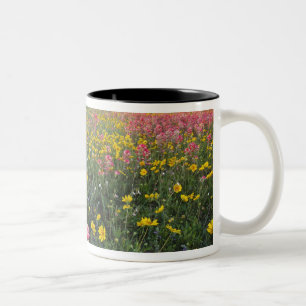 Wilde bloemen langs de weg in Texas, lente Tweekleurige Koffiemok