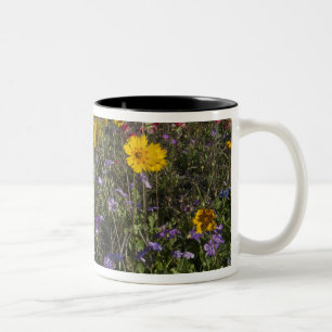 Wilde bloemen langs de weg in Texas, lente Tweekleurige Koffiemok