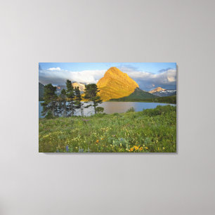 Wilde bloemen langs Swiftcurrent Lake in de Many Canvas Afdruk