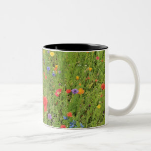 Wilde bloemen Lente Foto Tweekleurige Mok