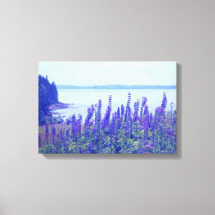 Wilde bloemen Maine Lupine Flowers Canvas Afdruk