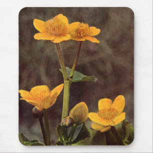 Wilde bloemen: Marsh Marigold Muismat
