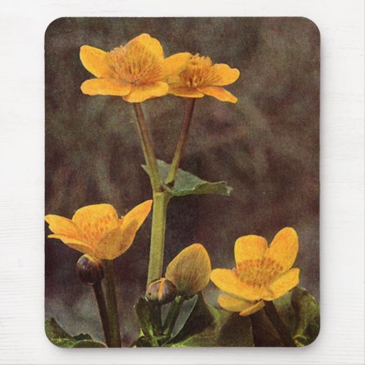 Wilde bloemen: Marsh Marigold Muismat (Voorkant)