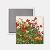 Wilde bloemen op groen veld magneet (Voorkant / Achterkant)