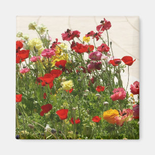 Wilde bloemen op groen veld magneet