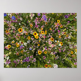 Wilde bloemen poster