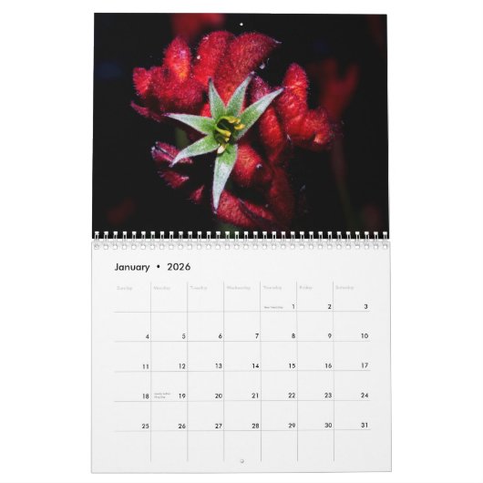 Wilde bloemen uit Australië Kalender (Jan 2026)