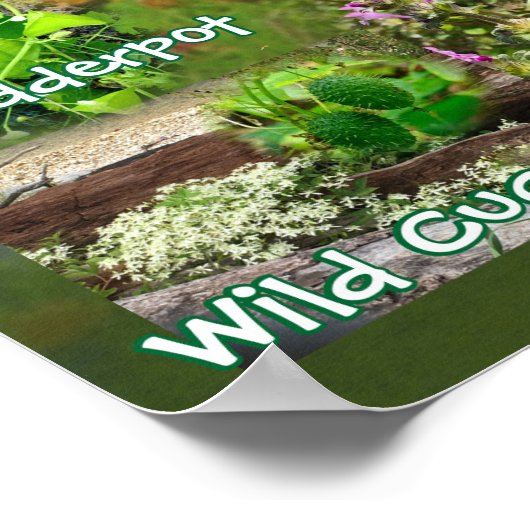 Wilde bloemen van het poster van Oklahoma 19v60 (Hoek)