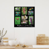 Wilde bloemen van Louisiana Poster (Keuken)