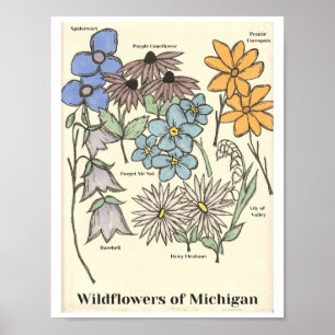 Wilde bloemen van Michigan handgetekende kunstprin Poster