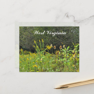 Wilde Bloemen van West Virginia Briefkaart