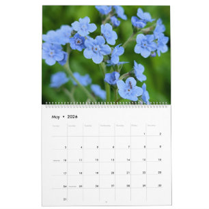 Wilde Bloemen Wonderen – Een Jaar van Natuurlijke Kalender