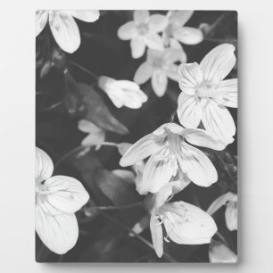 Wilde bloemen zwart en wit fotoplaat