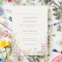Wilde Bloemenweide Lente Zomer Botanische Trouw