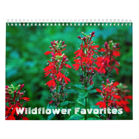 Wilde bloemfavorieten #1 Kalender (Hoes)