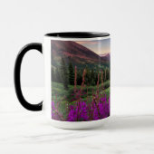 Wilde bloempitten | Gekreste Butte, Colorado Mok (Links)