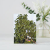 Wilde boom briefkaart (Staand voorkant)